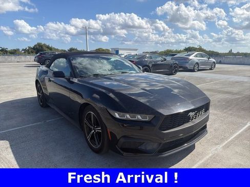 Used 2024 Ford Mustang Premium image 3