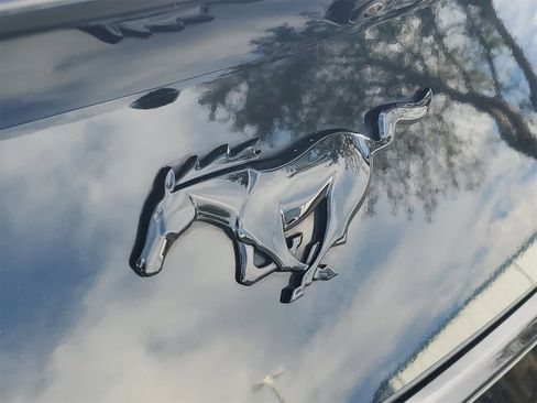 Certified 2024 Ford Mustang Coupe w/ Mustang Nite Pony Package image 6