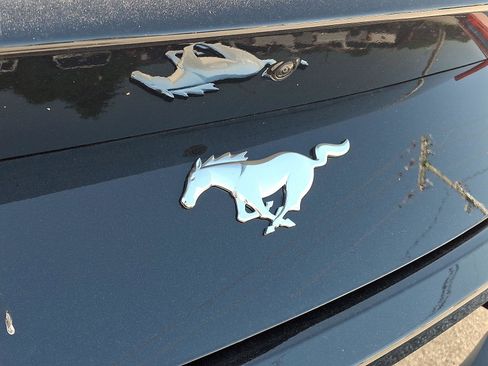 New 2025 Ford Mustang Coupe image 17