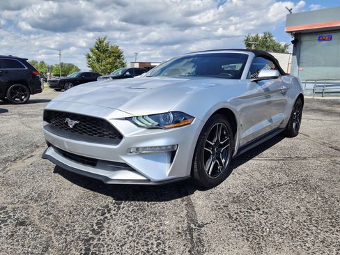 Used 2019 Ford Mustang Premium RWD image 2