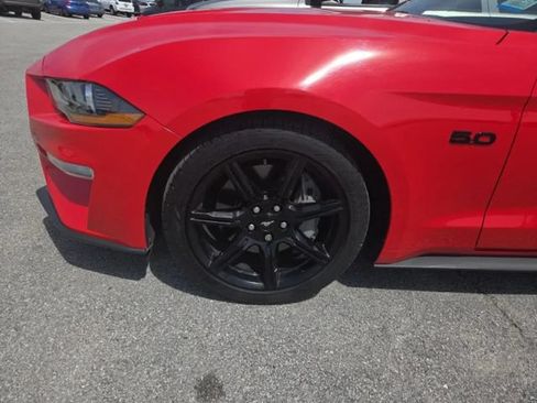 Used 2019 Ford Mustang GT w/ Equipment Group 301A RWD image 4