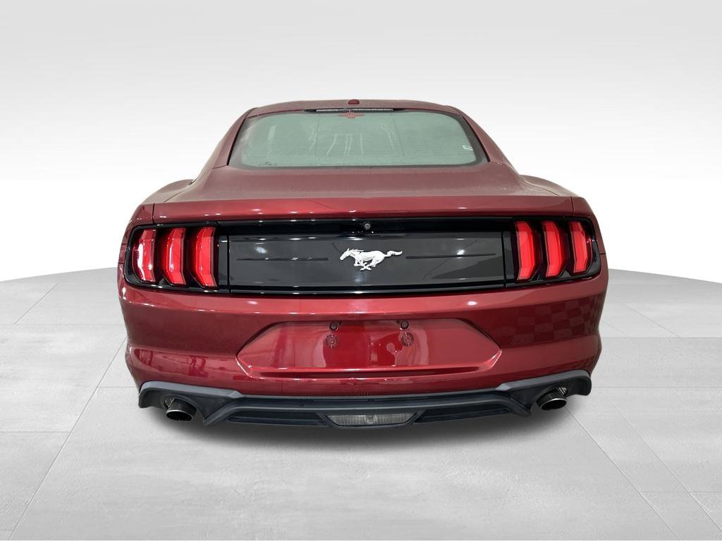 Used 2019 Ford Mustang Coupe RWD image 4