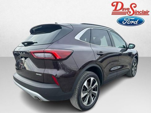 Used 2023 Ford Escape Platinum image 7