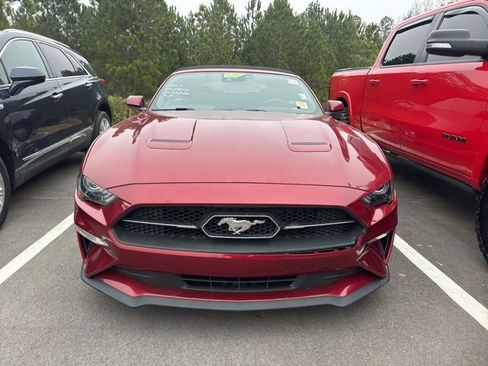 Used 2019 Ford Mustang Premium w/ Equipment Group 201A image 2