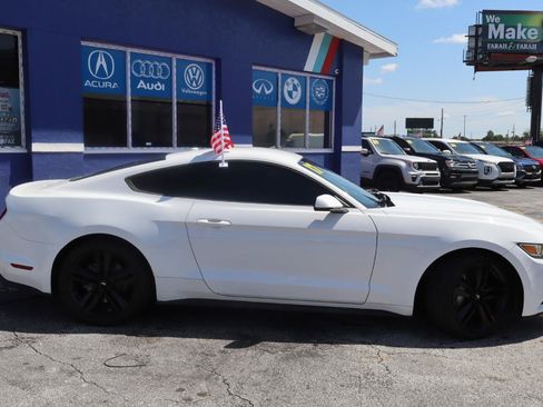 Used 2017 Ford Mustang Premium w/ Ecoboost Performance Package RWD image 4