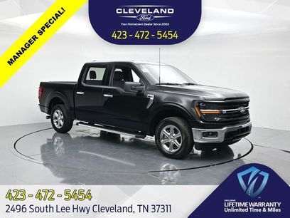 New 2025 Ford F150 XLT w/ Equipment Group 301A Standard