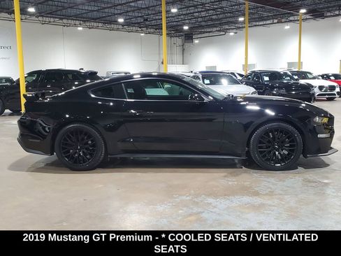 Used 2019 Ford Mustang GT Premium w/ GT Performance Package image 5