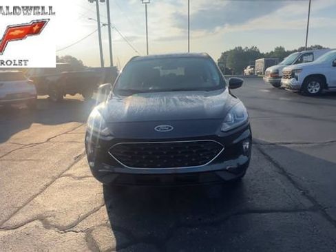 Used 2022 Ford Escape SEL w/ SEL Stealth AWD Package image 3