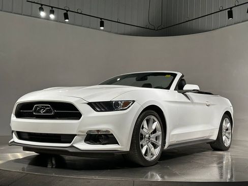 Used 2015 Ford Mustang Premium w/ Equipment Group 201A RWD image 9