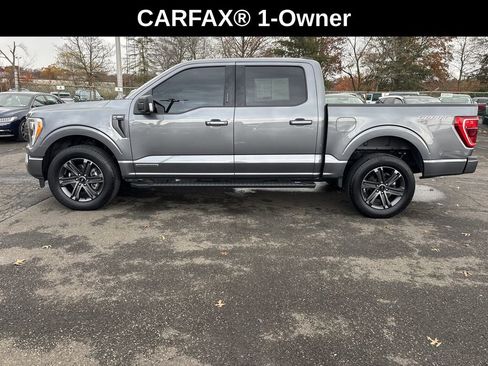 Used 2023 Ford F150 XLT w/ Equipment Group 302A High image 2