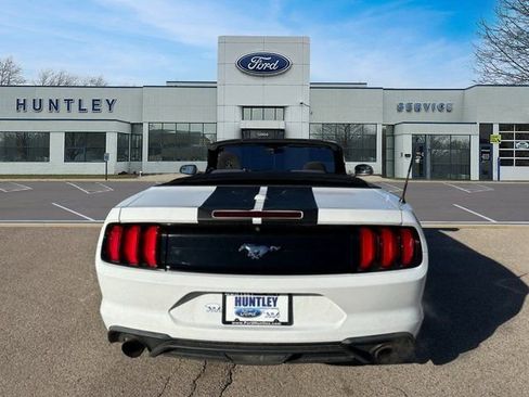 Used 2019 Ford Mustang Convertible image 4