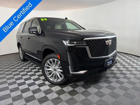 Used 2024 Cadillac Escalade Premium Luxury AWD/4WD image 1