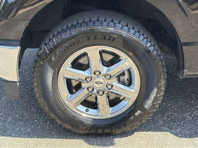 Used 2025 Ford F150 XLT w/ Equipment Group 301A Standard AWD/4WD image 12