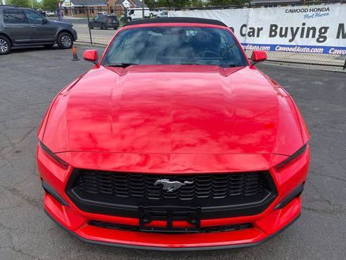 Used 2026 Ford Mustang Convertible RWD image 13