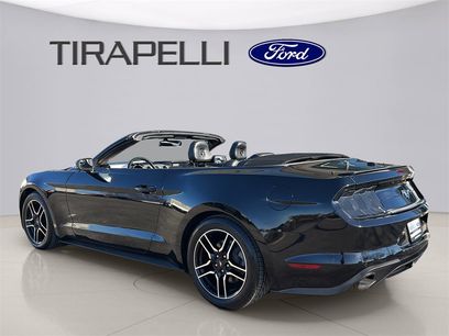 Certified 2019 Ford Mustang Premium