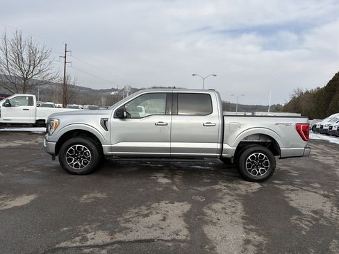 Used 2023 Ford F150 XLT w/ Equipment Group 302A High image 9