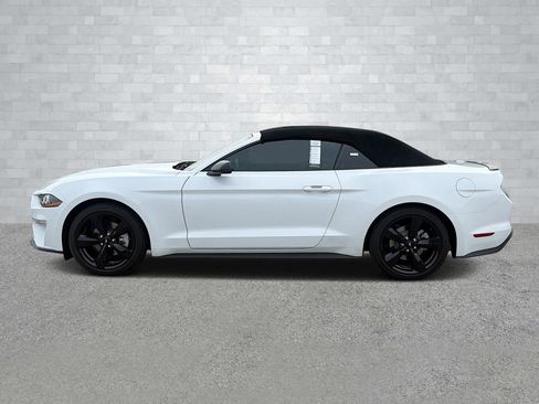 Used 2023 Ford Mustang Premium w/ Equipment Group 201A image 7