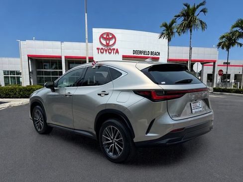Used 2025 Lexus NX 250 FWD w/ Cold Area Package image 5