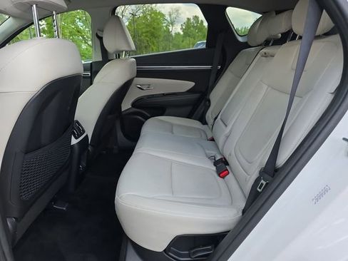 Used 2024 Hyundai Tucson Limited AWD/4WD image 11