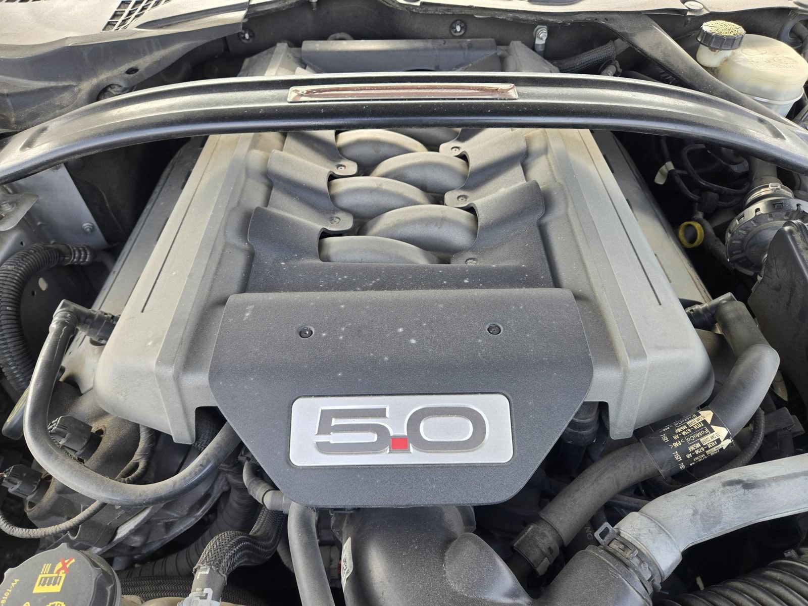Used 2017 Ford Mustang GT RWD image 30