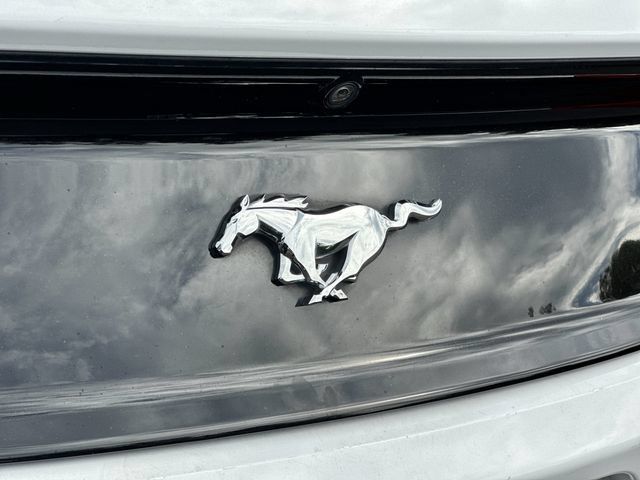 Used 2017 Ford Mustang Premium RWD image 24