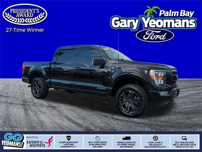 Used 2023 Ford F150 XLT w/ Equipment Group 302A High