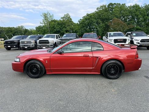 Used 2001 Ford Mustang Cobra RWD image 7