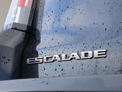 Used 2019 Cadillac Escalade Luxury image 14