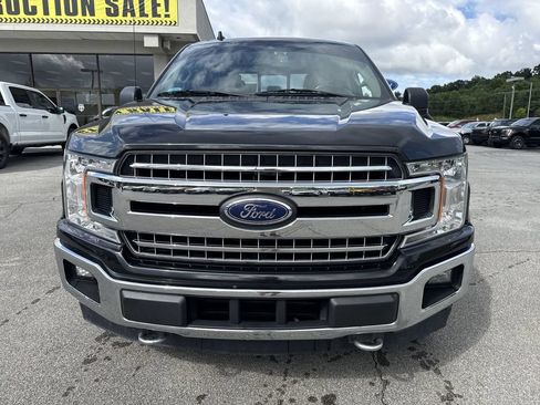 Used 2019 Ford F150 XLT w/ Equipment Group 302A Luxury AWD/4WD image 2