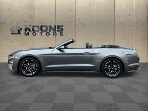 Used 2023 Ford Mustang Premium image 4