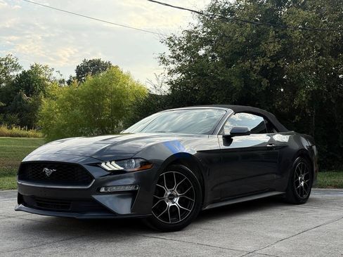 Used 2018 Ford Mustang Premium RWD image 2