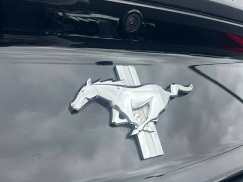 Used 2017 Ford Mustang Convertible w/ Equipment Group 051A RWD image 11