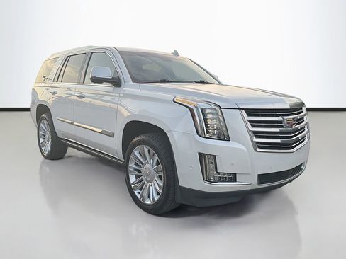 Used 2019 Cadillac Escalade Platinum image 1
