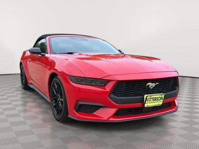 Used 2024 Ford Mustang Premium