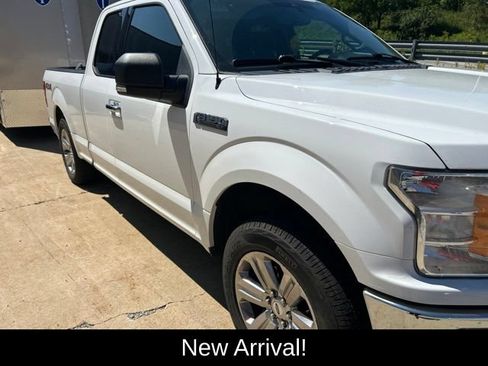 Used 2019 Ford F150 XLT w/ Equipment Group 302A Luxury AWD/4WD image 6