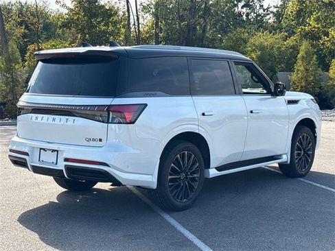 New 2026 INFINITI QX80 Autograph image 6