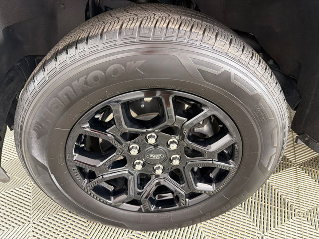 Used 2025 Ford F150 STX RWD image 11