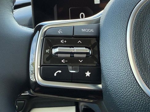 New 2026 Kia Carnival SX Prestige image 14