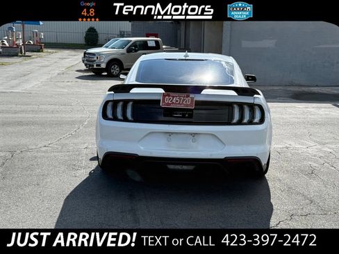 Used 2021 Ford Mustang GT Premium w/ Equipment Group 401A RWD image 6