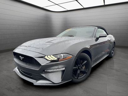 Used 2019 Ford Mustang Convertible