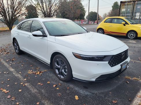 New 2024 Honda Accord EX-L image 3