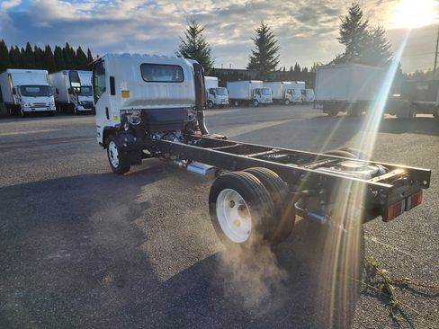 New 2025 Isuzu NPR image 7