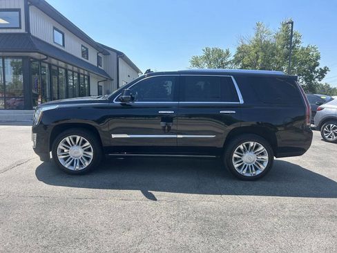 Used 2019 Cadillac Escalade Platinum image 7