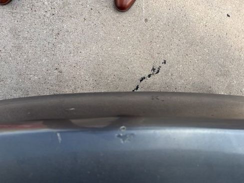 Used 2008 Honda Accord EX image 11