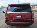 Used 2019 Cadillac Escalade Premium Luxury image 4