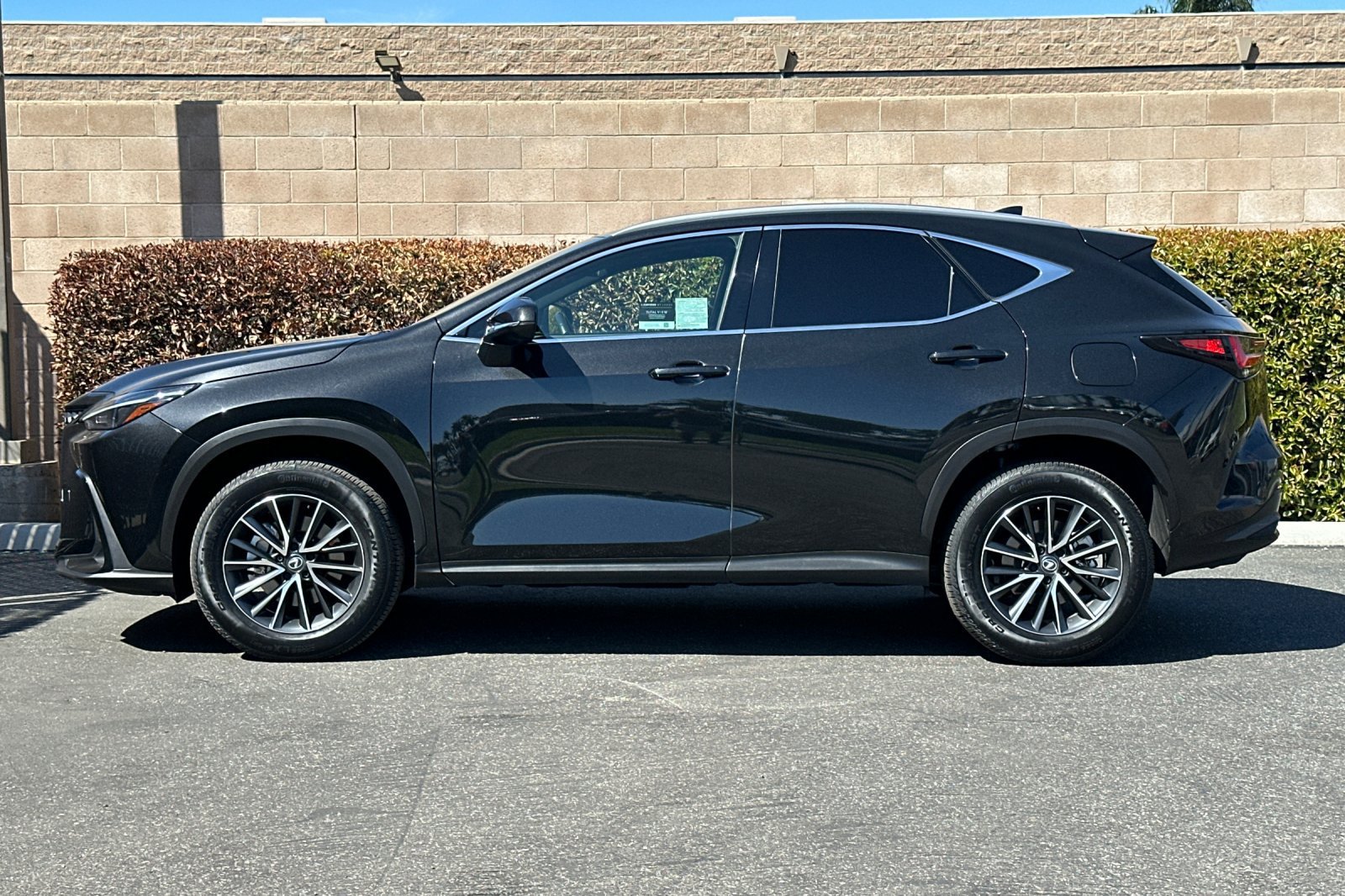 Certified 2025 Lexus NX 350h AWD w/ Cold Area Package image 7
