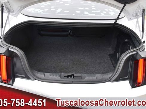 Used 2017 Ford Mustang Premium w/ Ecoboost Performance Package image 9