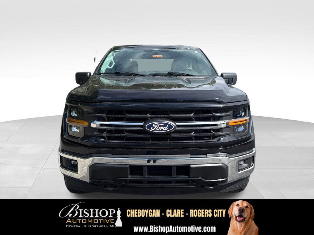 Used 2025 Ford F150 XLT w/ Equipment Group 301A Standard AWD/4WD image 14