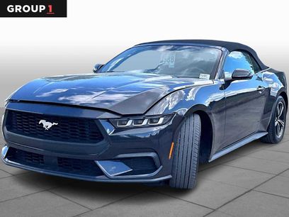 Certified 2024 Ford Mustang Premium