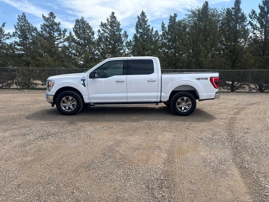 Used 2023 Ford F150 XLT w/ Equipment Group 302A High AWD/4WD image 3